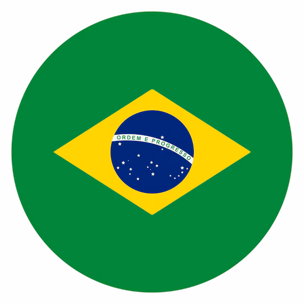 Traduzir para portugues